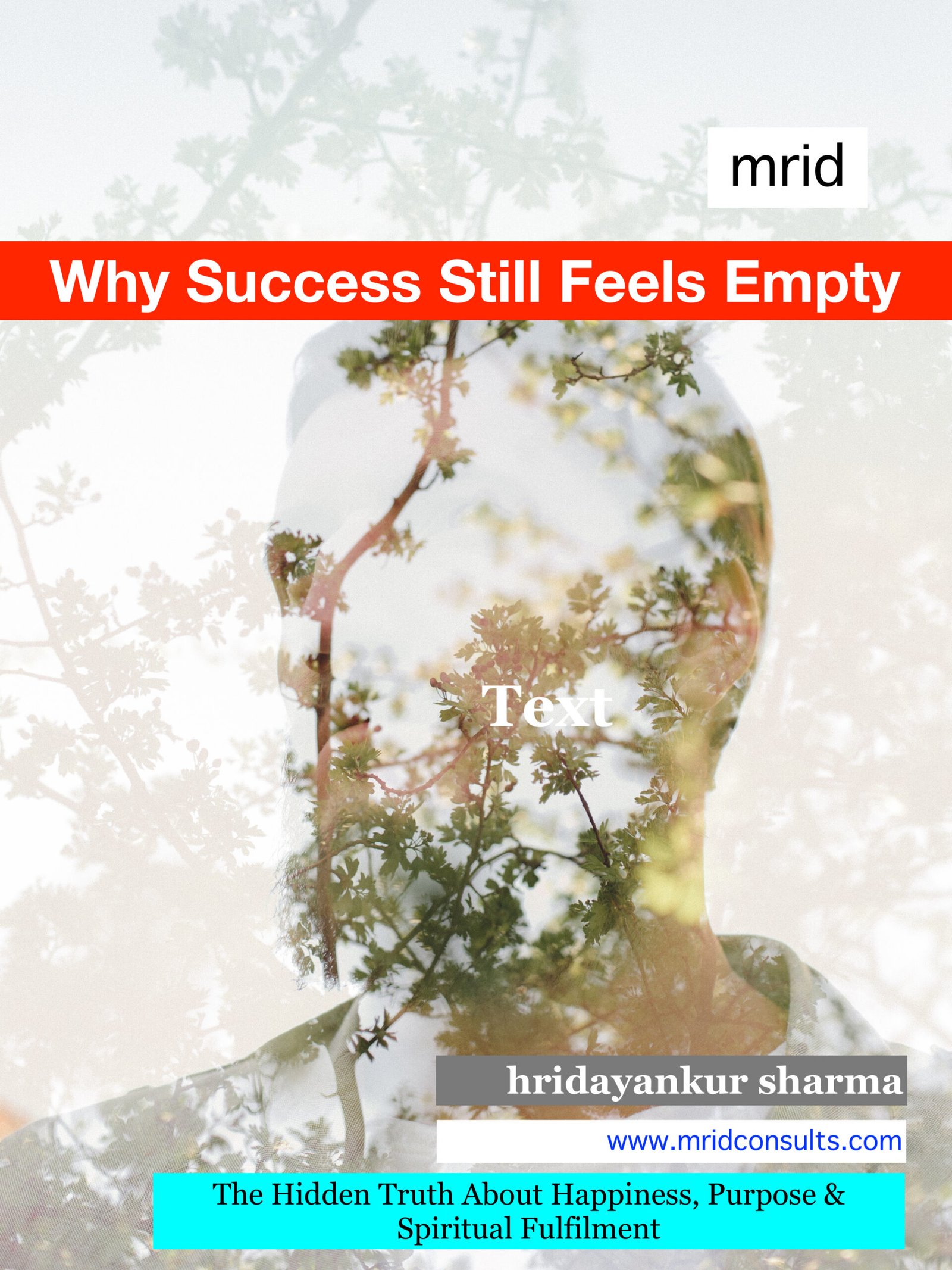 Why Success Still Feels Empty