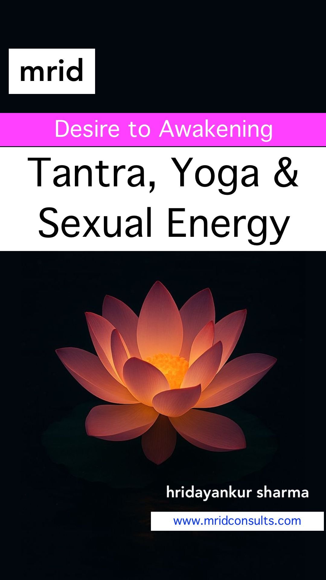 Tantra, Yoga & Sexual Energy - www.mridconsults.com